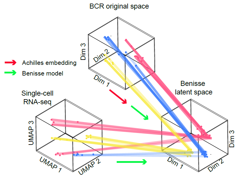image-responsive